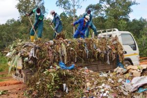 Recyclage de déchets domestiques, les avantages connaître